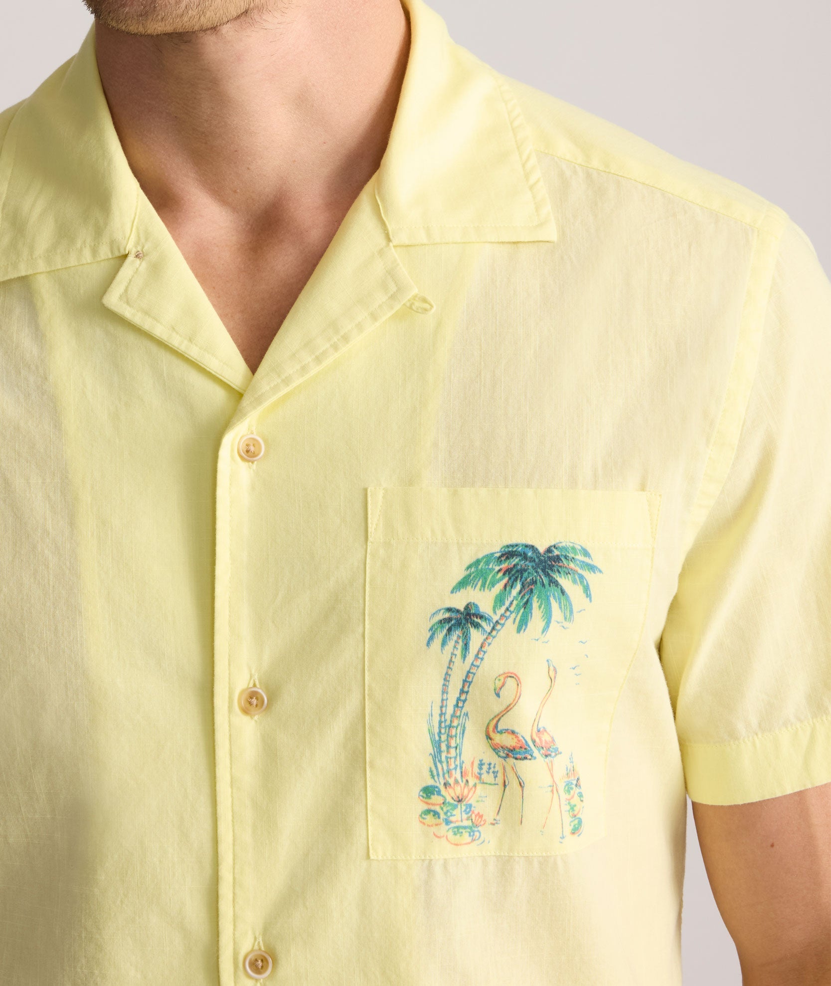 Chemise vintage à manches courtes et col camp
